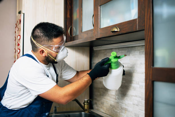 Best Residential Pest Control  in Georgetown, IN