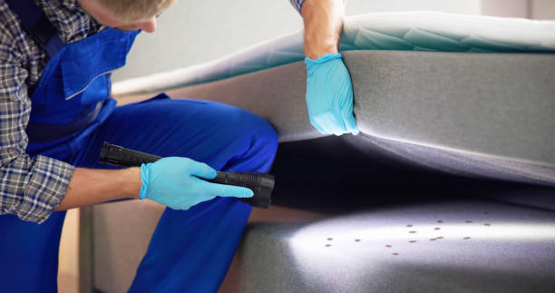 Best Cockroach Control Services  in Georgetown, IN