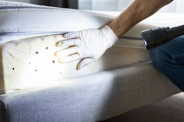 Best Wildlife Control Services  in Georgetown, IN